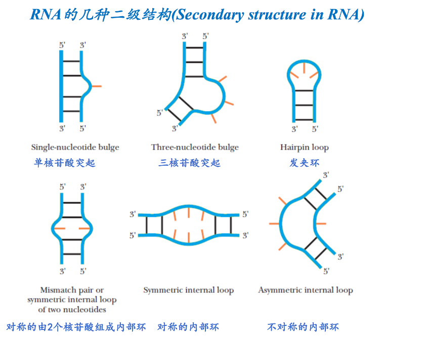 当mRNA遇上AI——百度研发出mRNA疫苗抗体水平提高128倍！