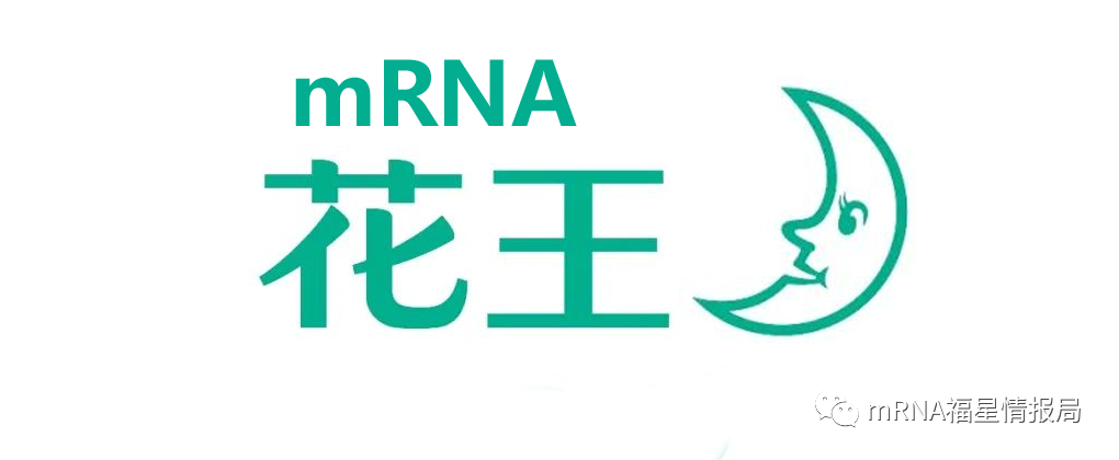花王宣布进军mRNA行业，旨在利用mRNA技术对抗过敏性疾病
